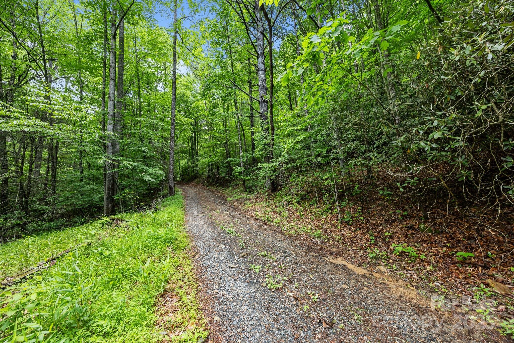 Property Photo: 9999 Burnette Reeves Road NC 28748