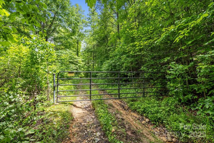 Property Photo:  9999 Burnette Reeves Road  NC 28748 