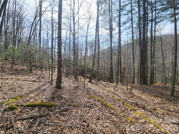 Property Photo:  9999 Burnette Reeves Road  NC 28748 