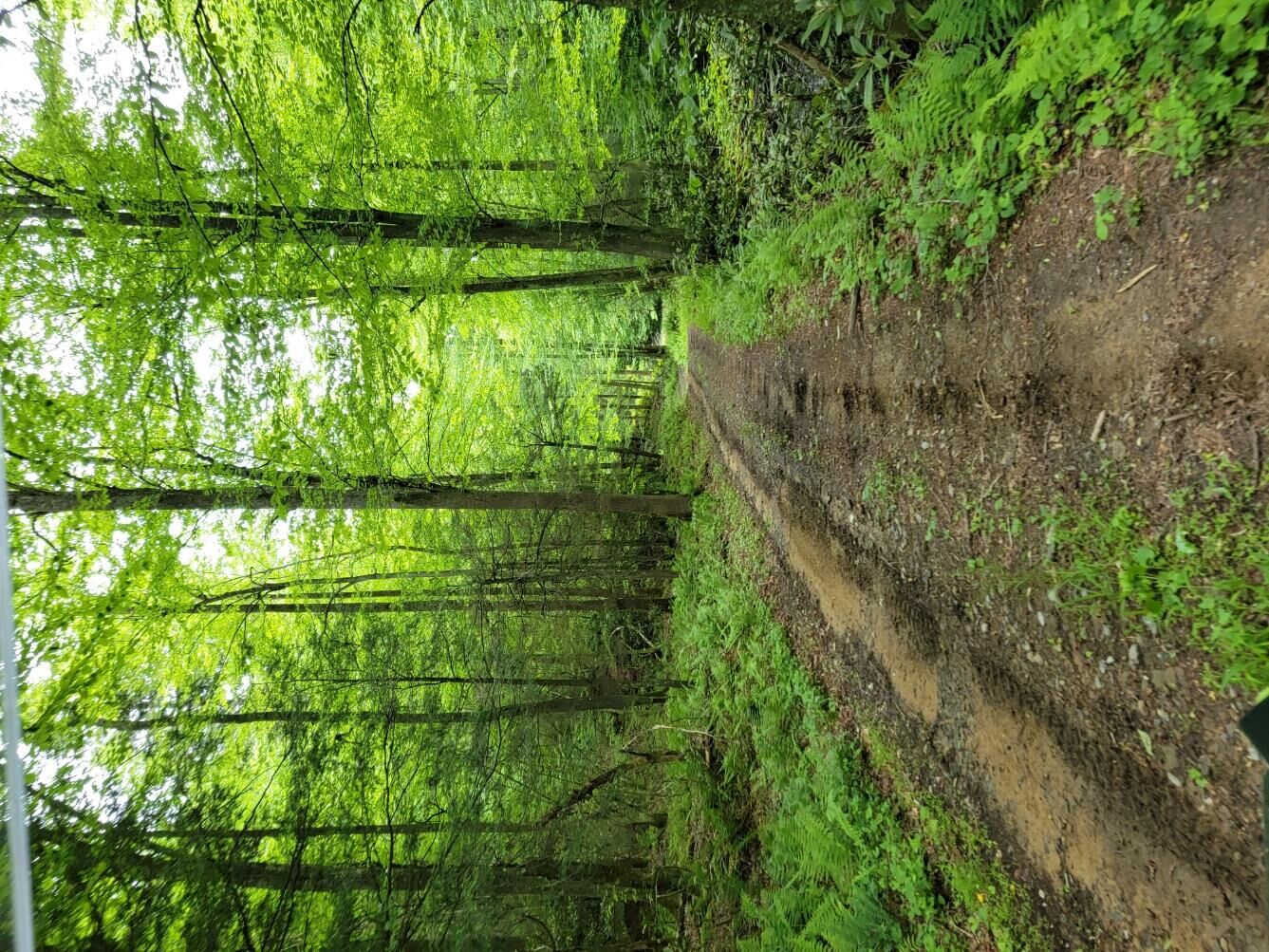 Property Photo: N/A Sec Rt 19/9 St WV 26651