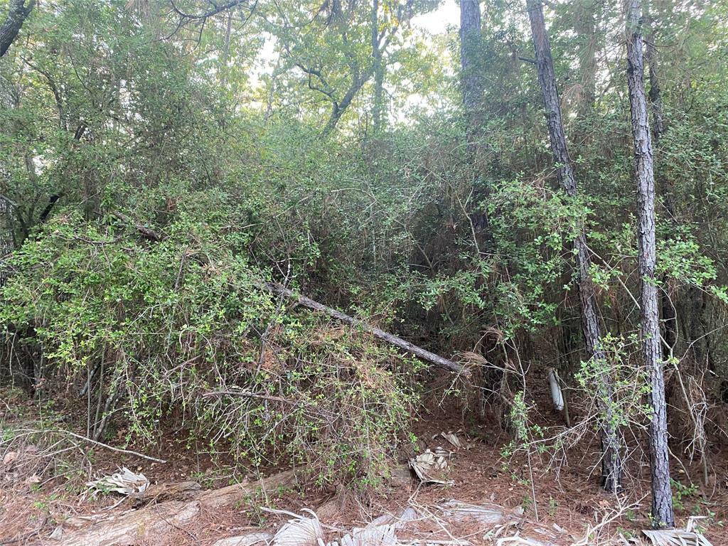 Property Photo: Tbd Peach Drive TX 77320