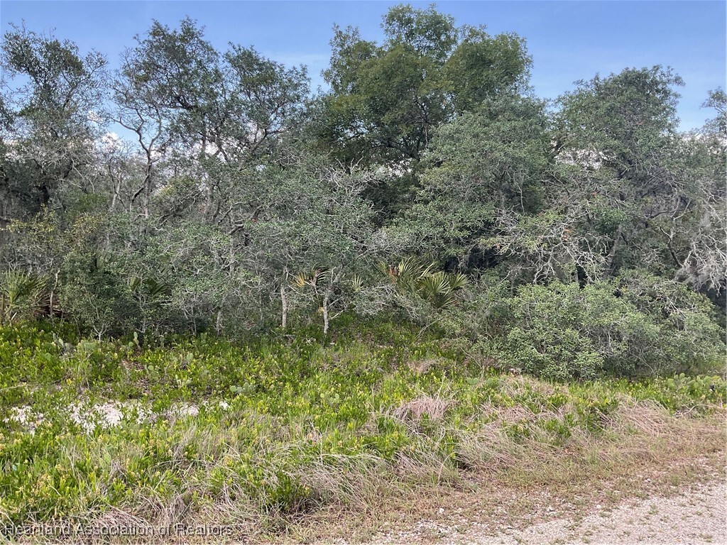 Property Photo:  242 Crystal Lake Drive  FL 33852 