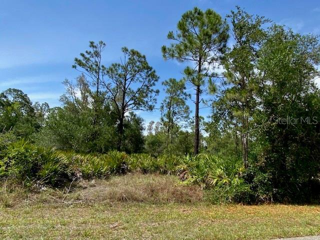 Property Photo: 28018 Sunset Drive FL 33955