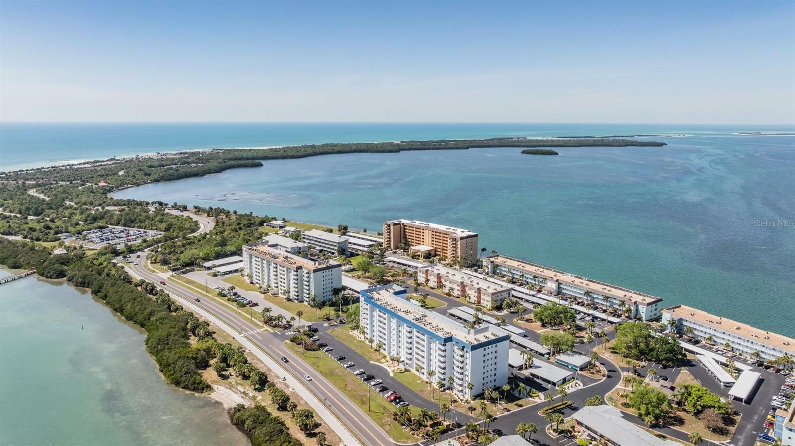 Property Photo: 7 Elgin Place 202 FL 34698
