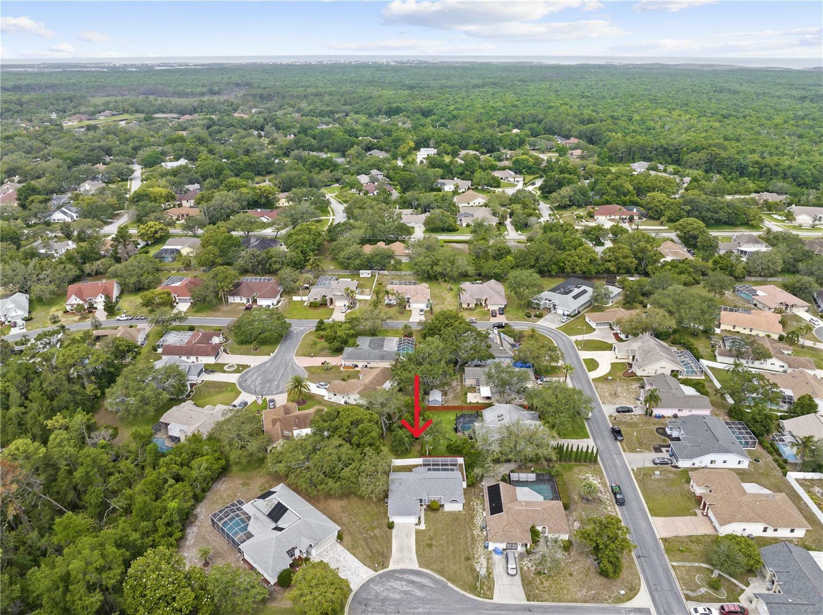 Property Photo: 5087 Oyster Court FL 34607