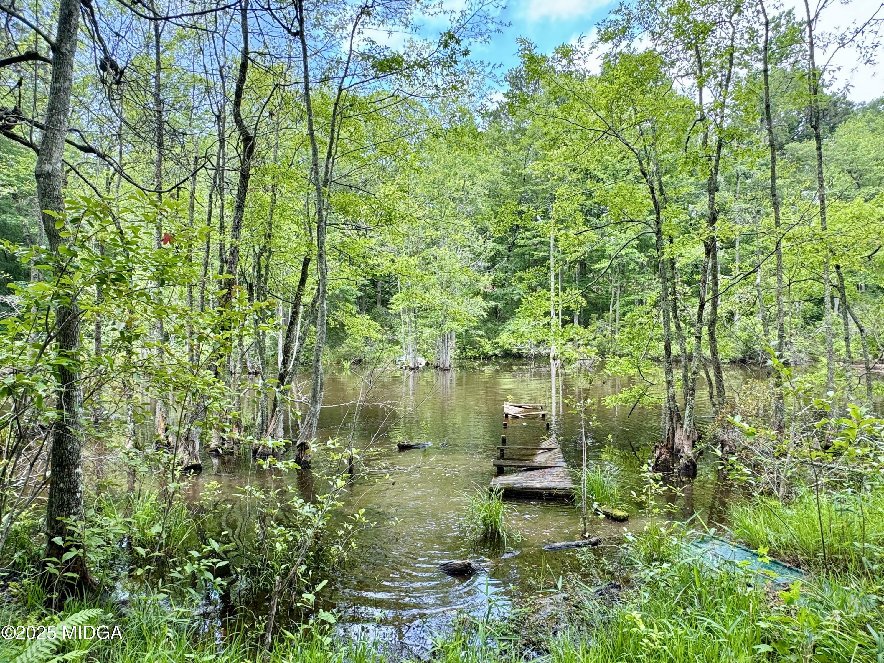 Property Photo: 193 Griswoldville Shortcut GA 31217