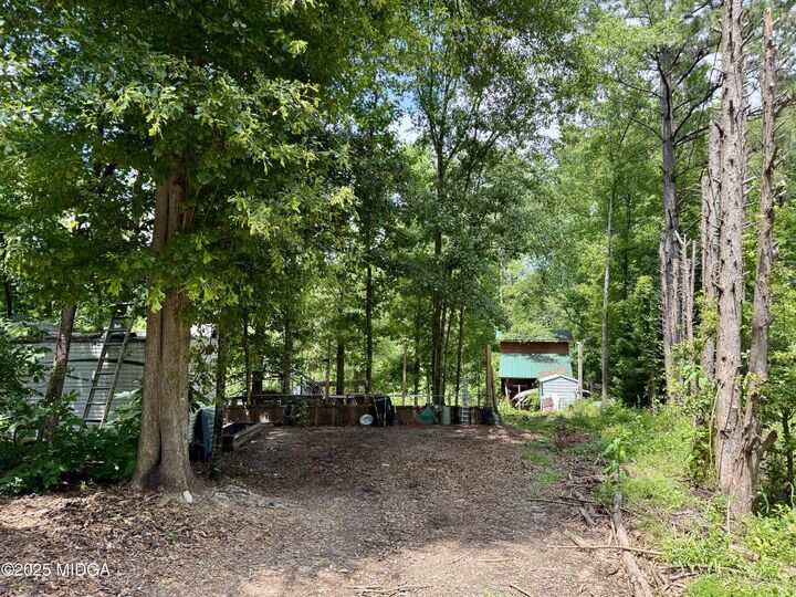 Property Photo: 193 Griswoldville Shortcut GA 31217