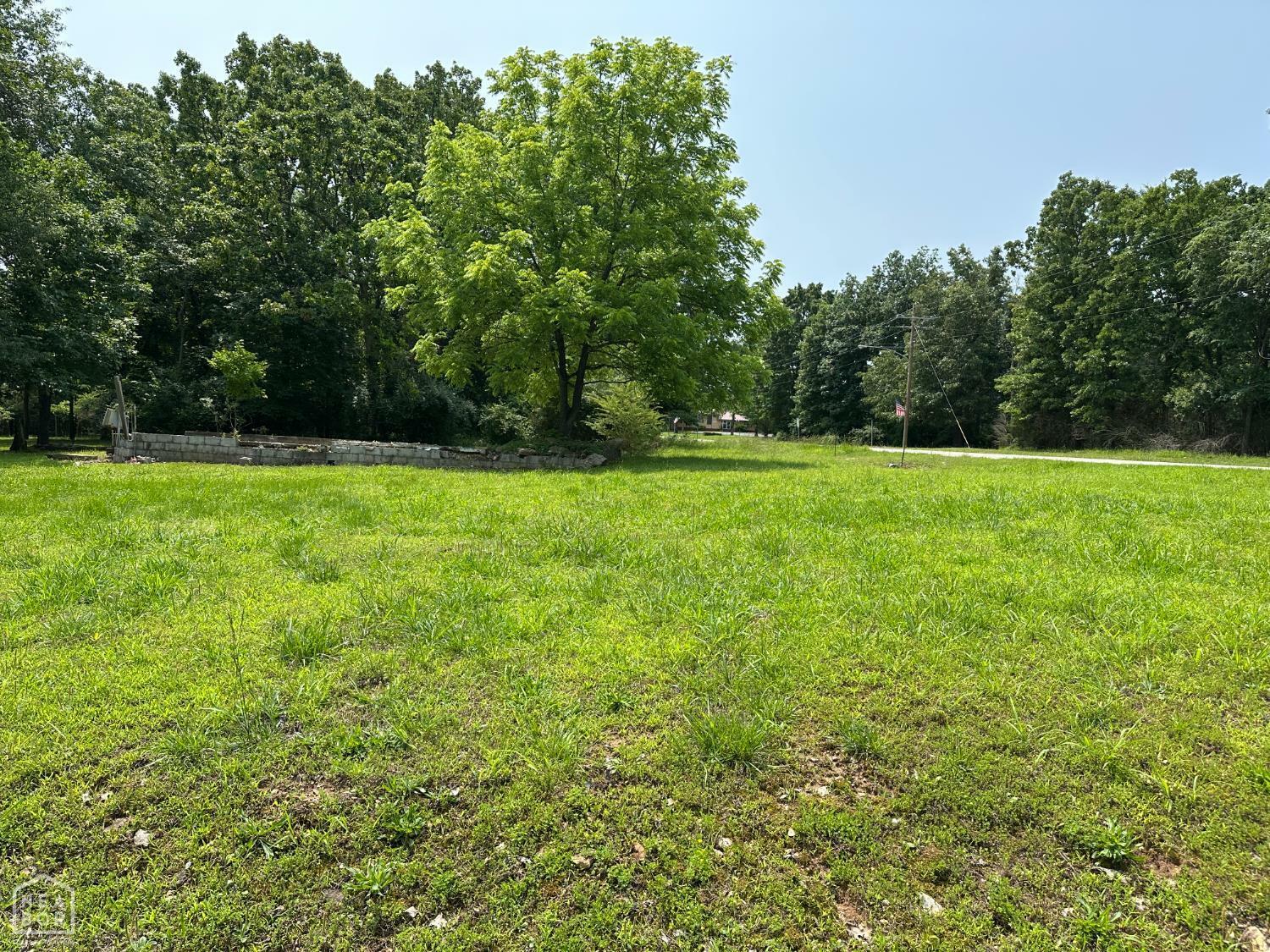 Property Photo:  320 Hazelwood Drive  AR 72630 