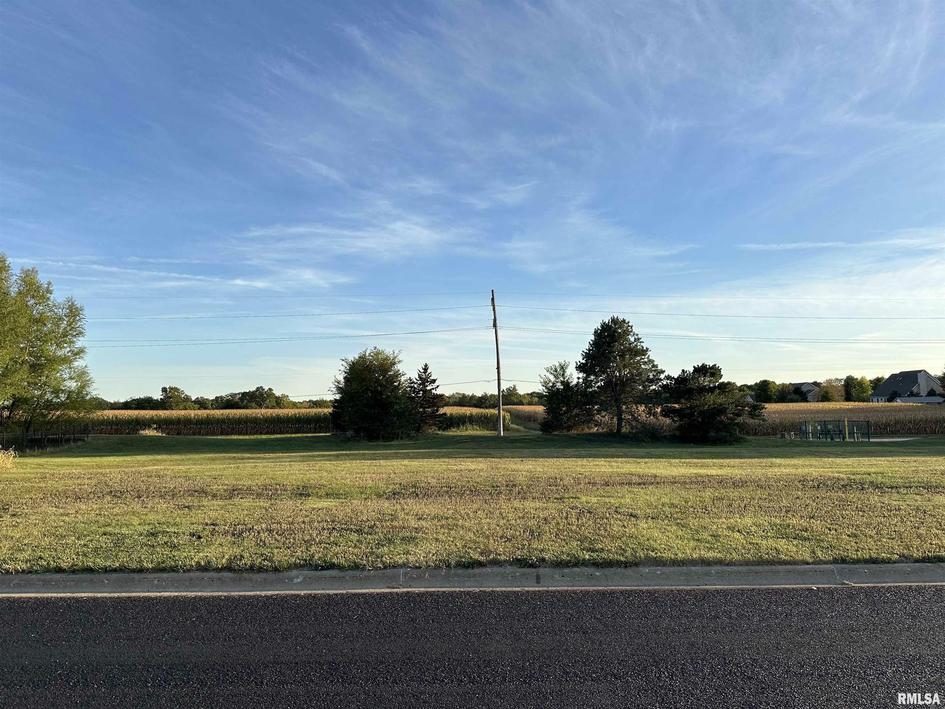 Property Photo:  211 Windsong Drive  IL 61571 