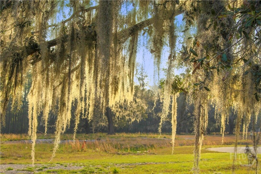 Property Photo: 1 William'S (36 Lots 95 Acres) Retreat GA 31419