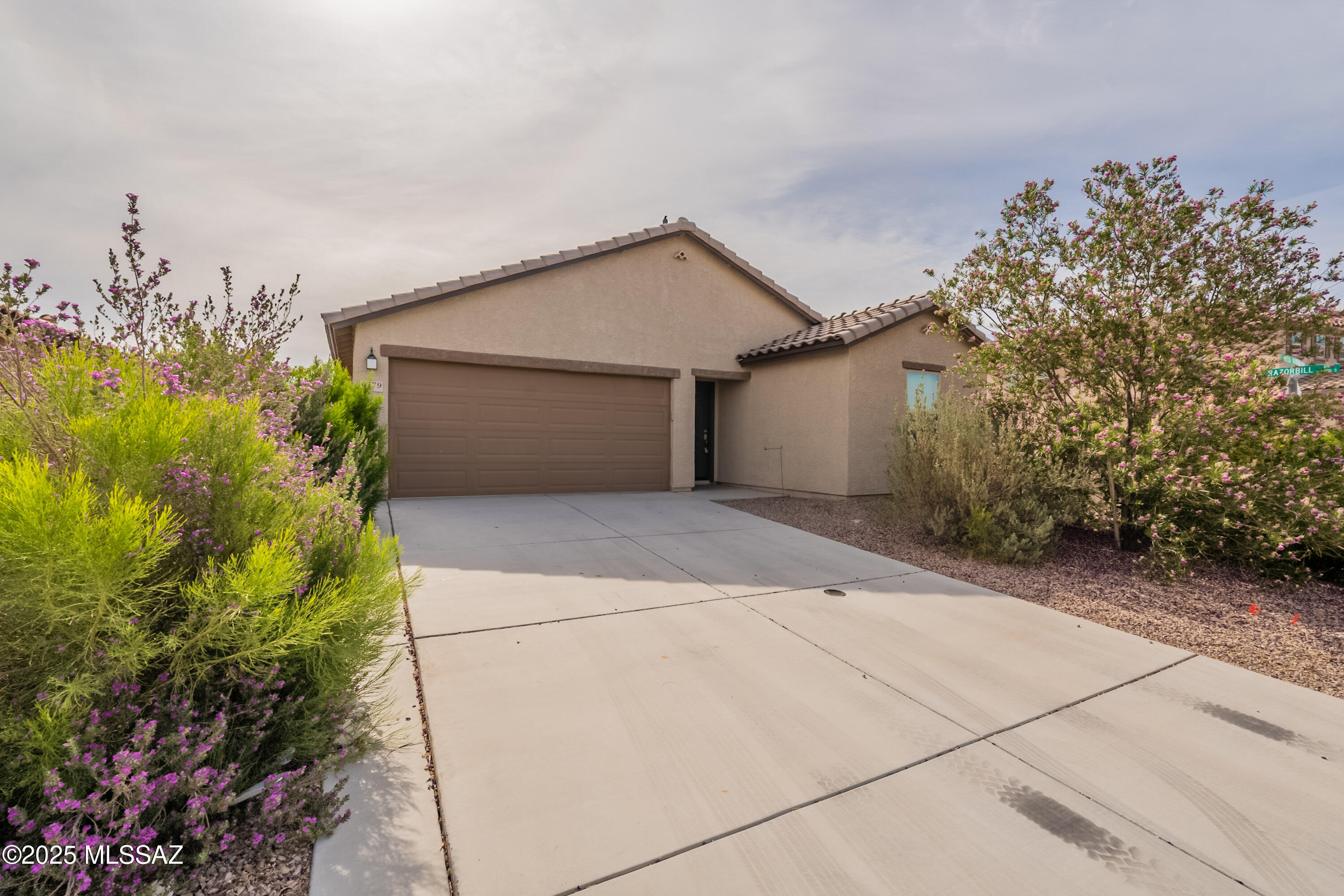 Property Photo: 6179 S Reed Bunting Drive AZ 85757
