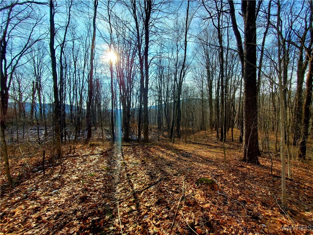 Property Photo:  7200 Kent Road  NY 14731 