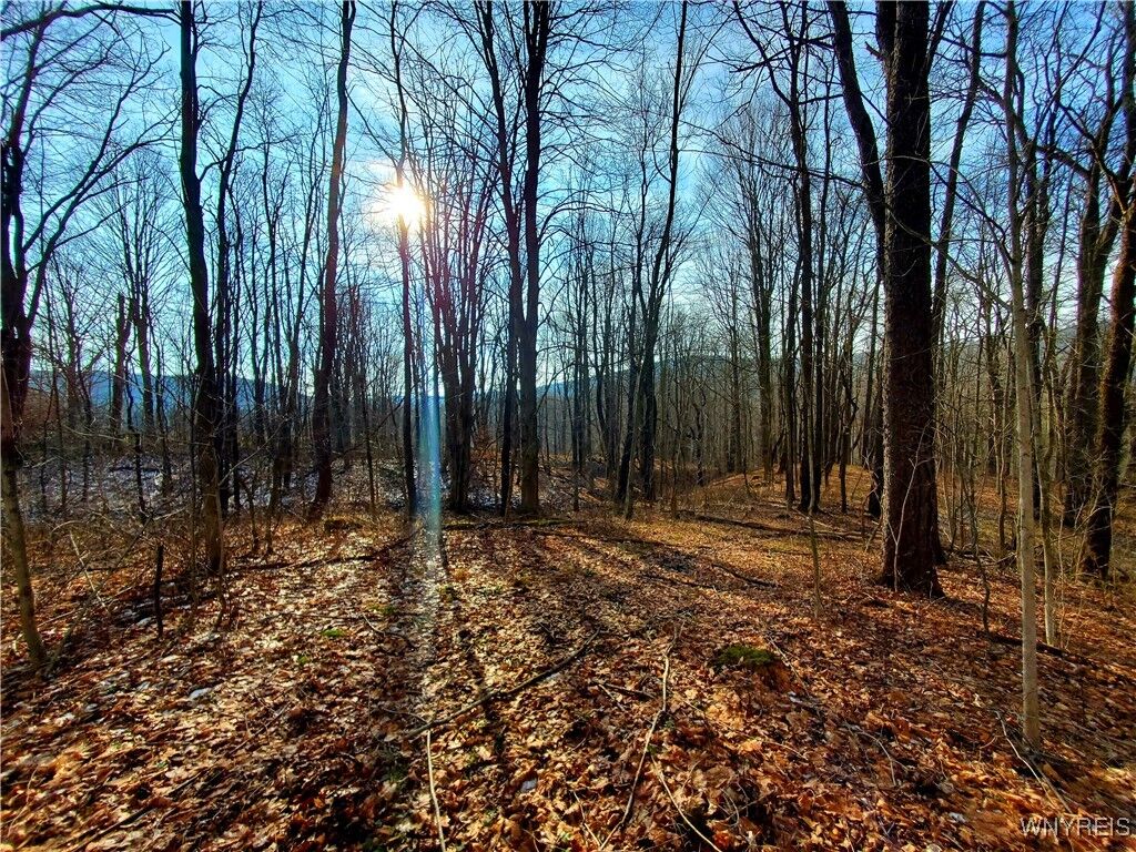 Property Photo: 7200 Kent Road NY 14731