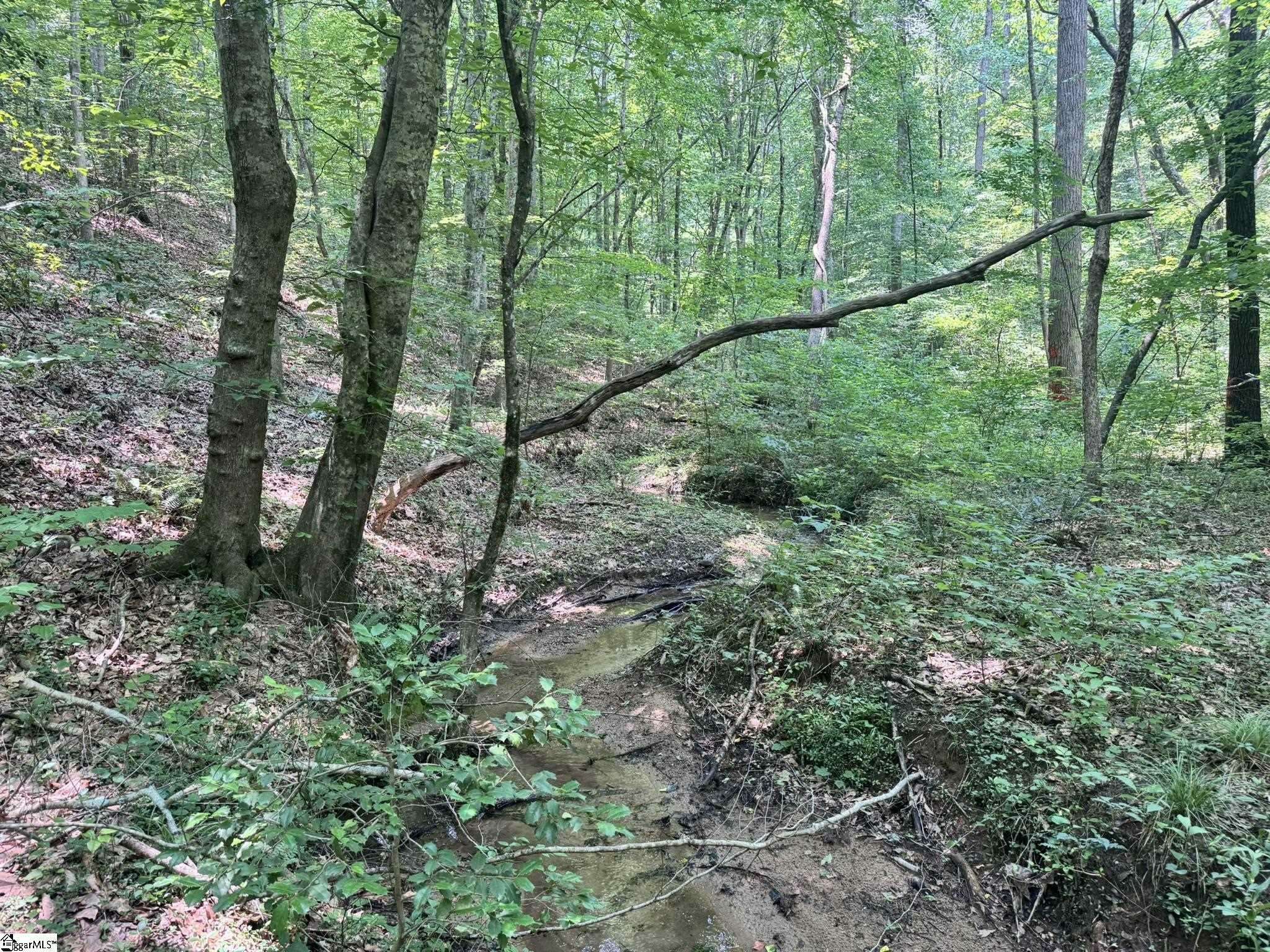 Property Photo: 0 N Jenkins Bridge Road SC 29693