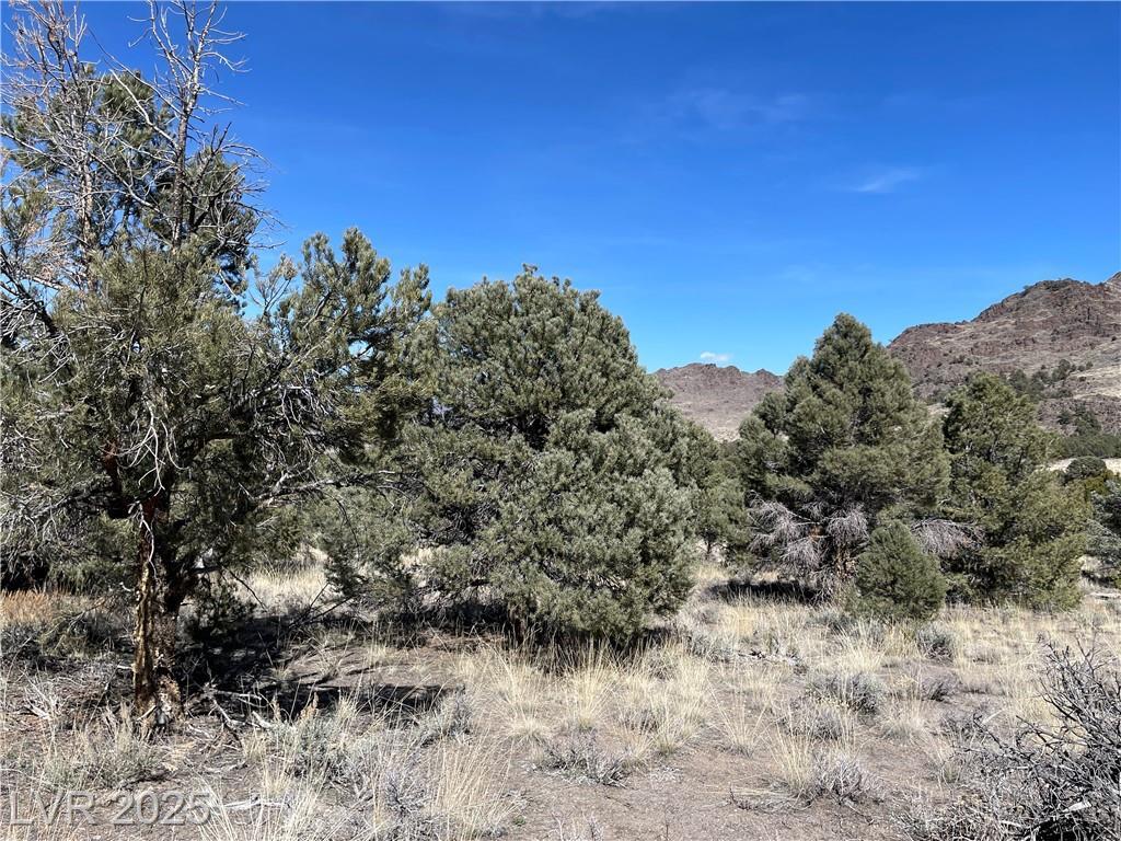 Property Photo: Unknown NV 89301