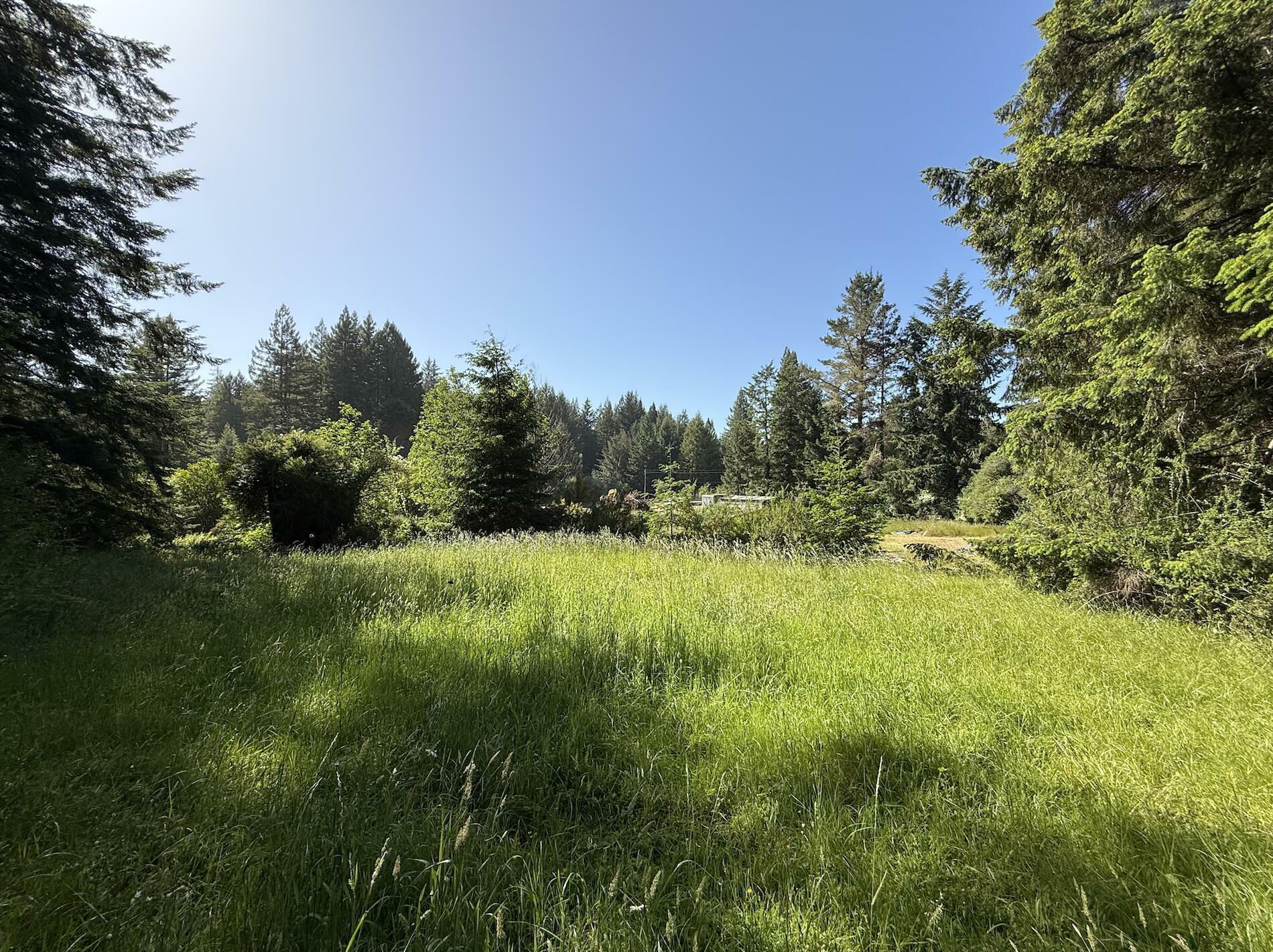 Property Photo:  110 Pinnacle Lane  CA 95519 