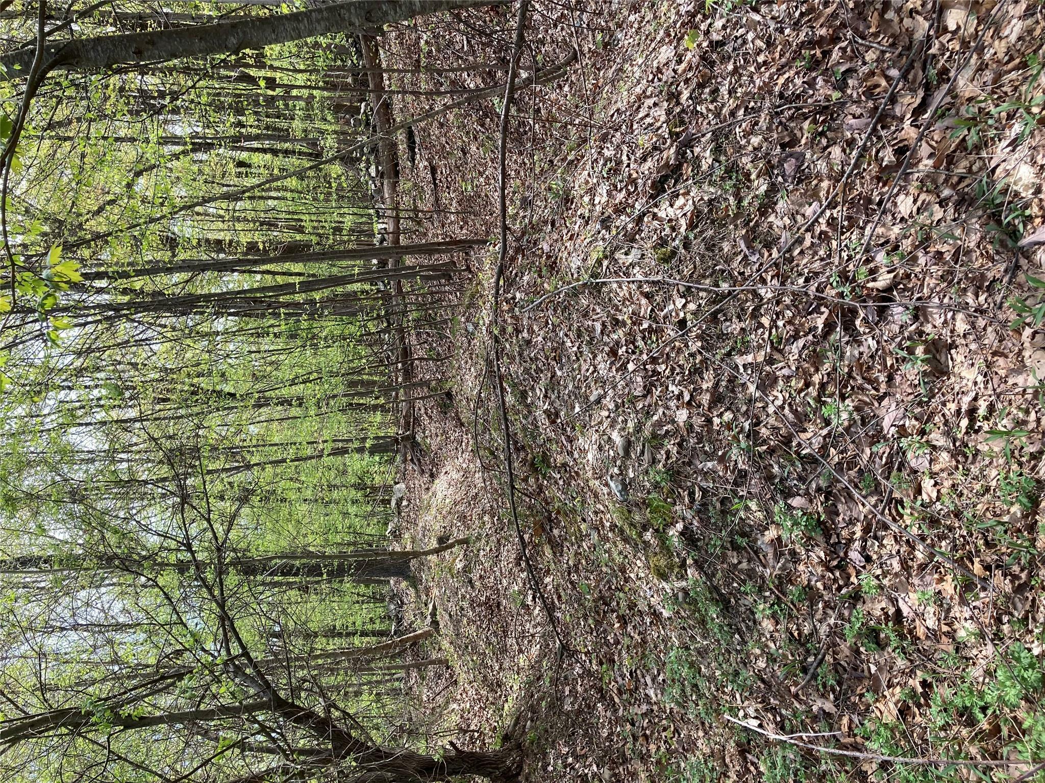 Property Photo: Canterbury Drive NY 12550