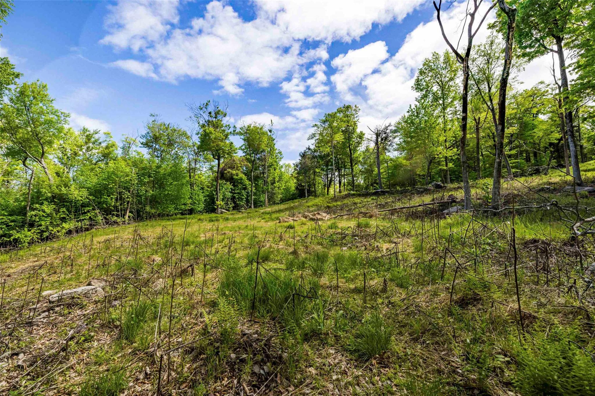 Property Photo:  3 Red Rock Road  NY 12489 