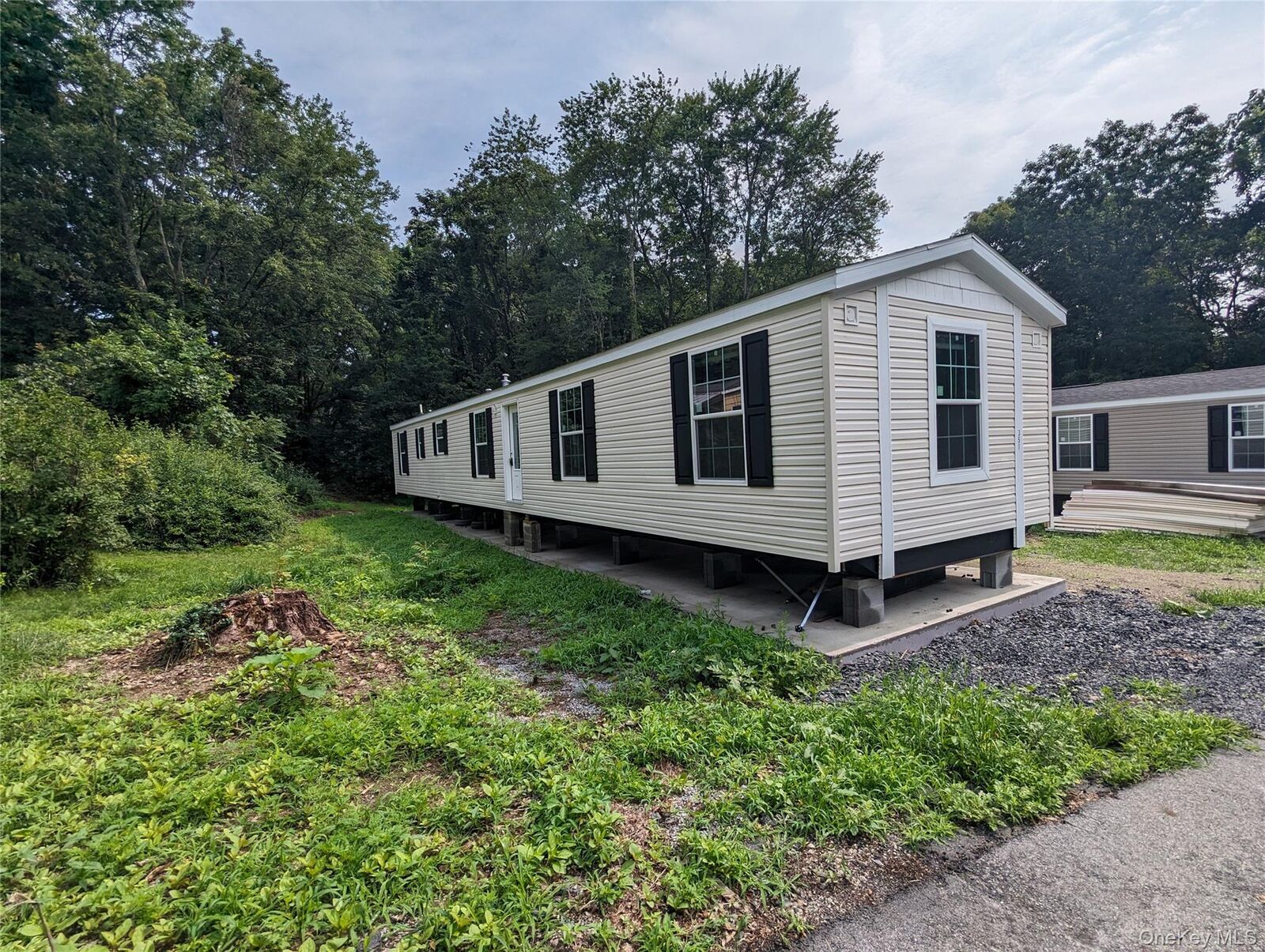 Property Photo: 367 Forest Park (Aka William St) Street NY 12589
