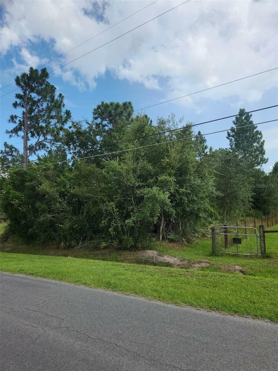 Property Photo: Ralston Street FL 32833