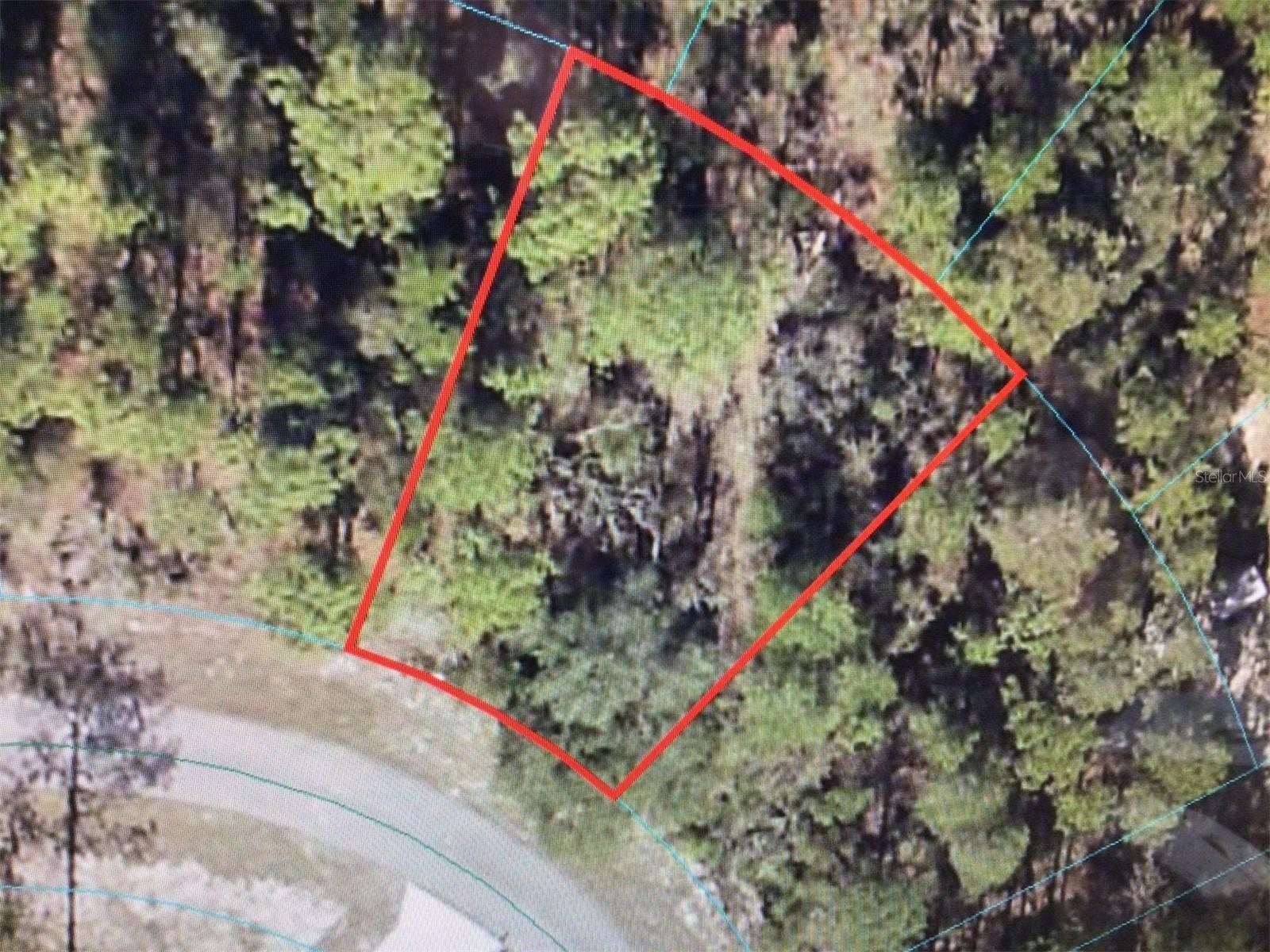 Property Photo: 0 SW 148 Place Road FL 34473