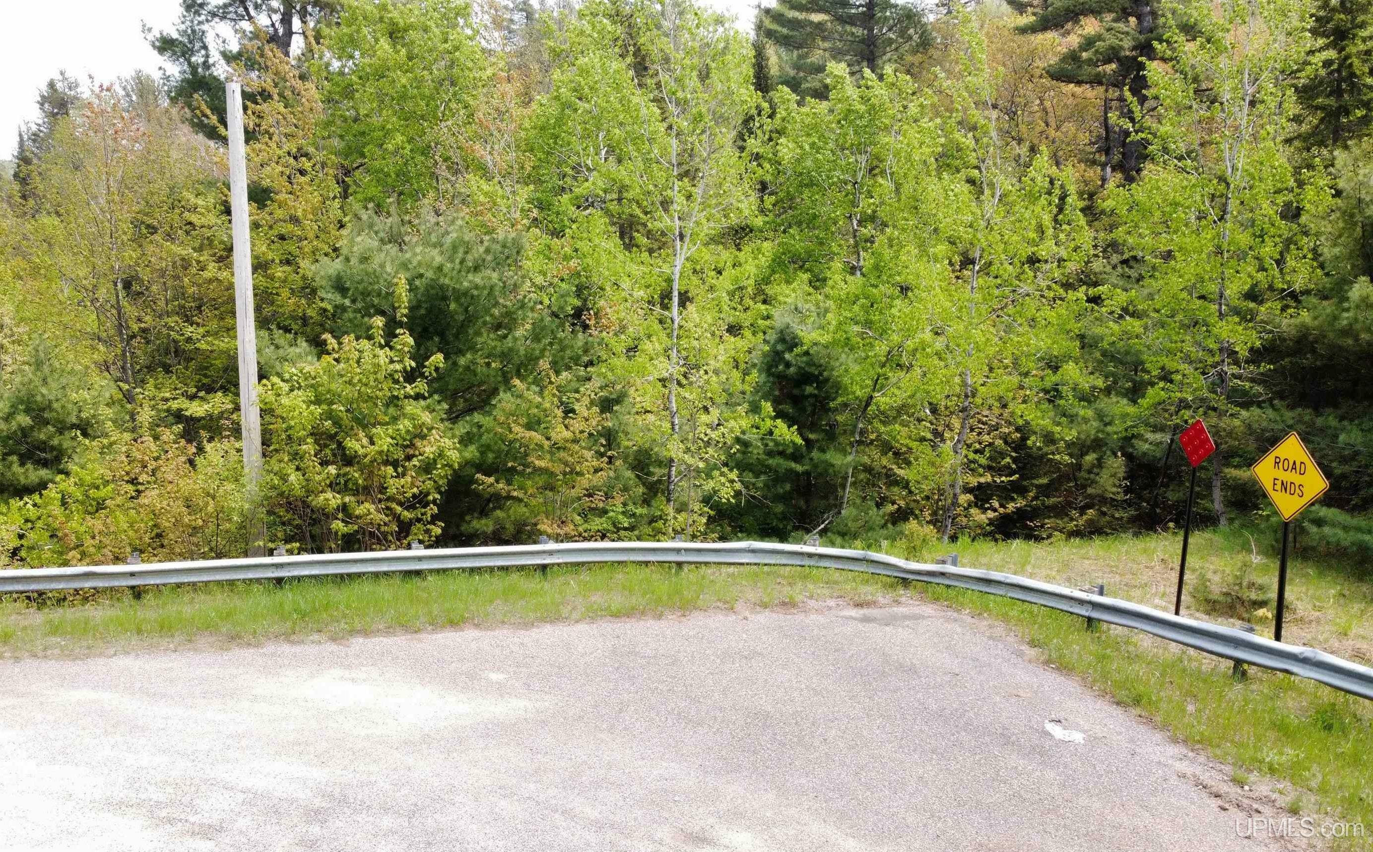 Property Photo:  Tbd Old 553 County Road  MI 49841 