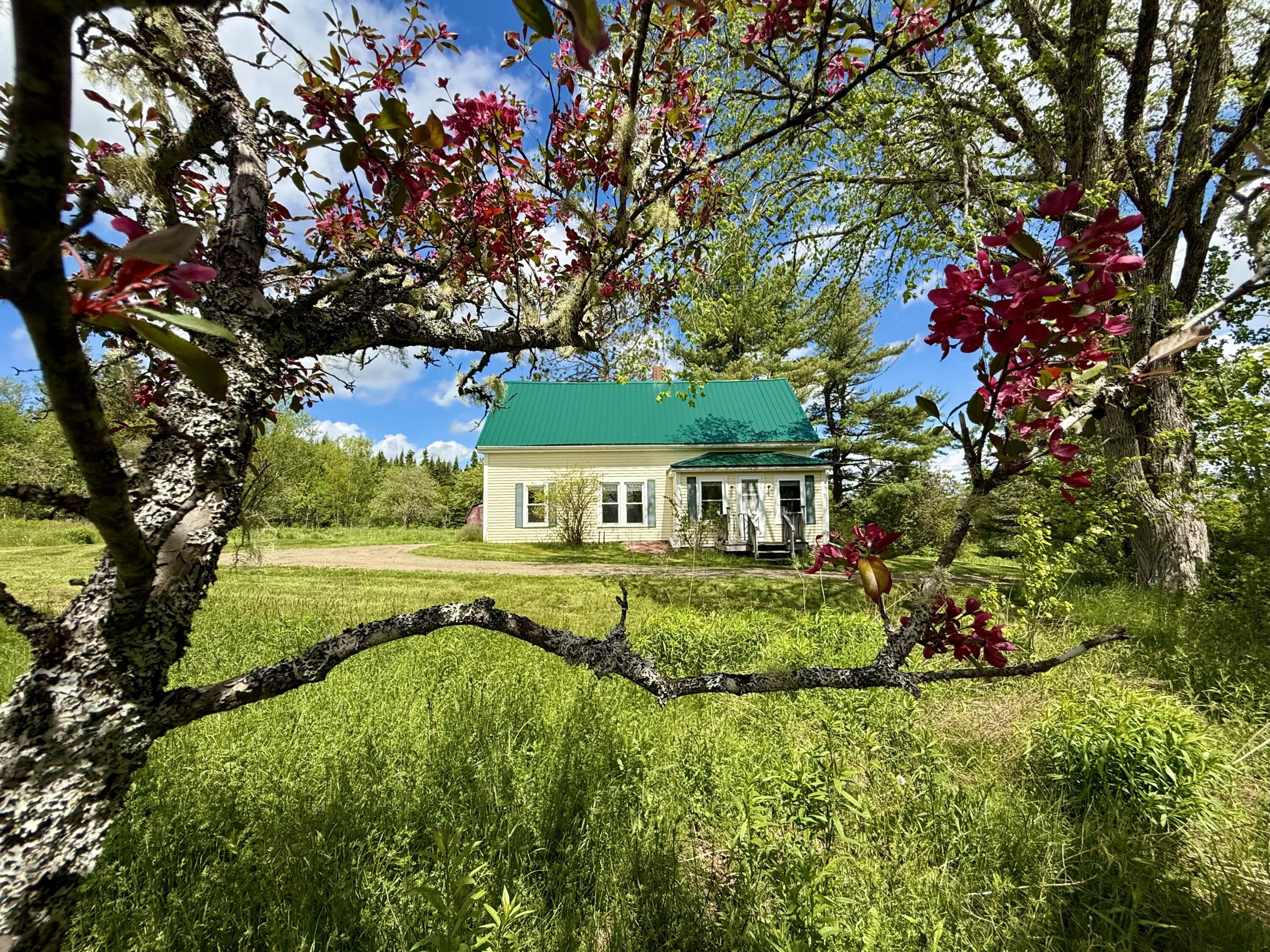 Property Photo:  149 Old Eastport Road  ME 04667 