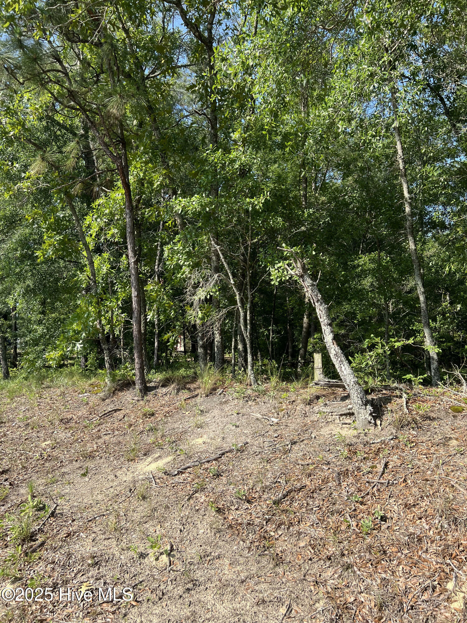 Property Photo: 0 Off Shaw Highway NC 28457