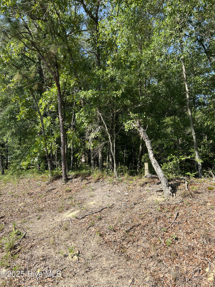 Property Photo:  0 6 Off Shaw Highway  NC 28457 