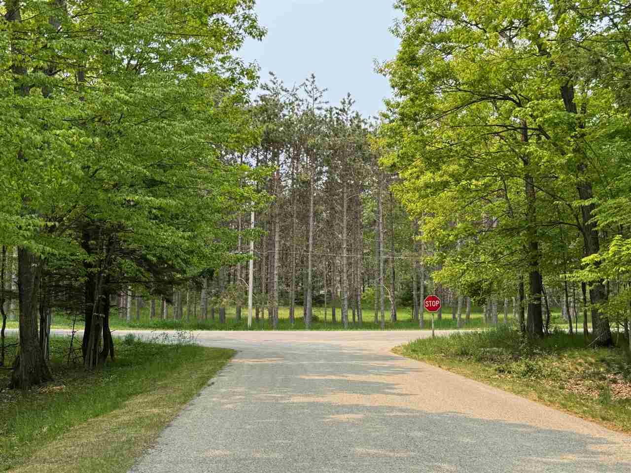 Property Photo:  5945 Lodgepole  MI 49740 