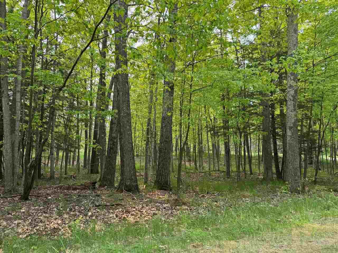 Property Photo:  5945 Lodgepole  MI 49740 
