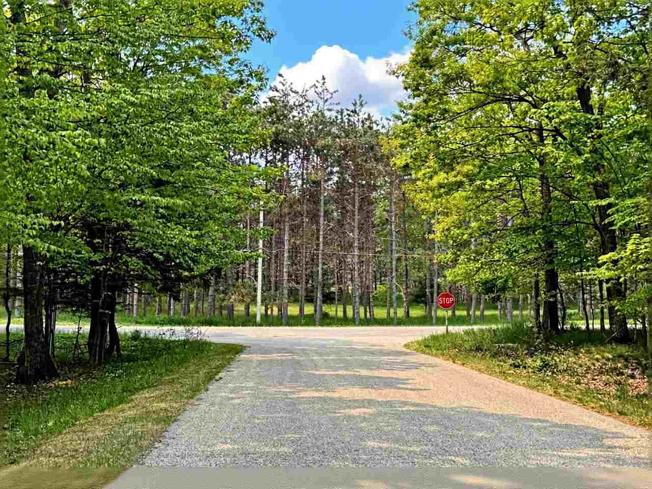 Property Photo:  5945 Lodgepole  MI 49740 
