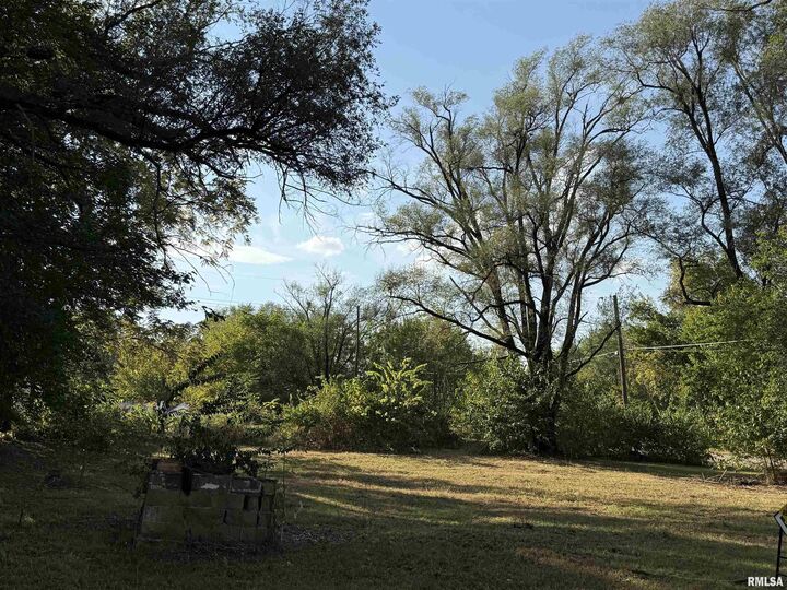 Property Photo:  702&Amp704 S Coleman Street  IL 62644 