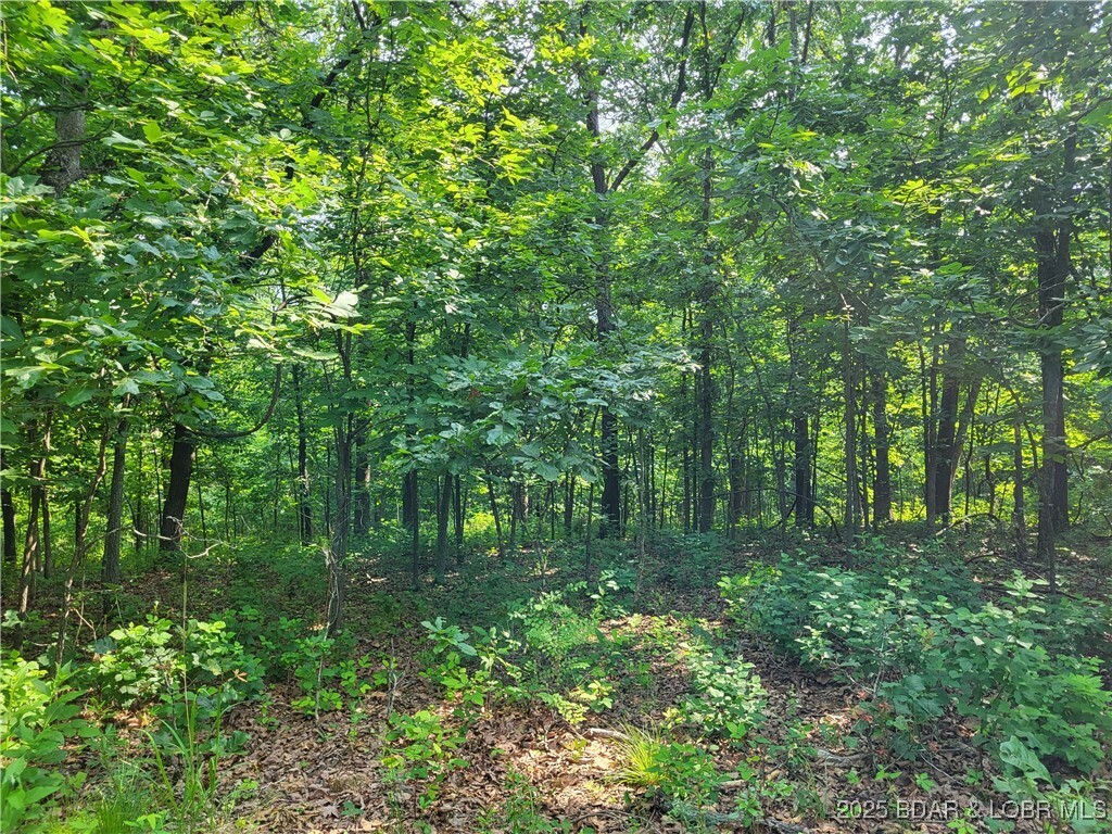 Property Photo: Rachael Place Lot 2372 MO 65326