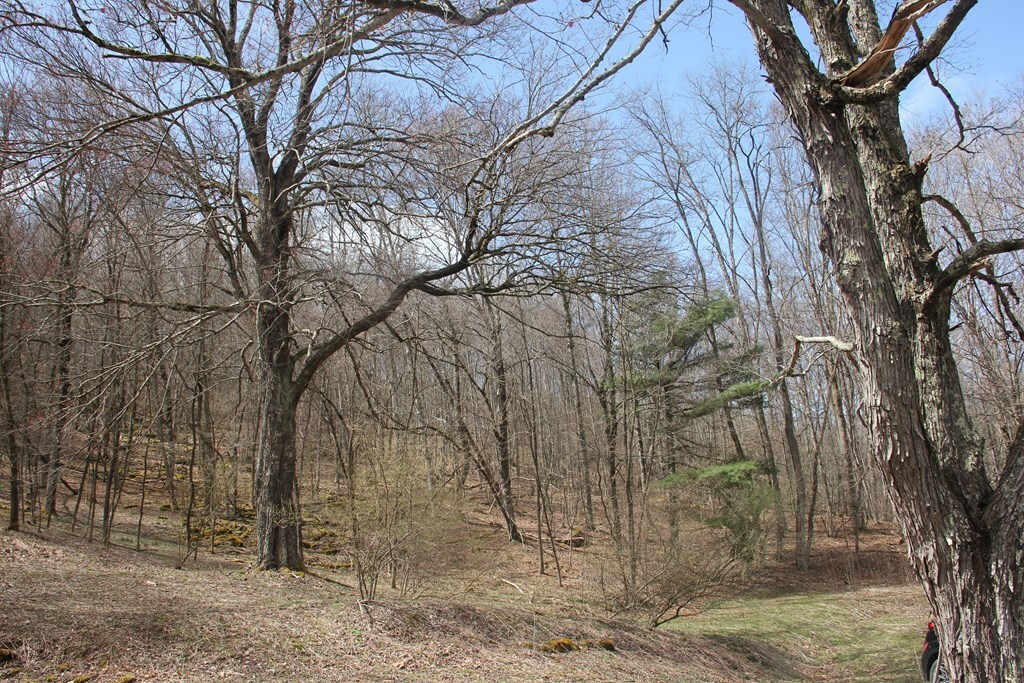 Property Photo: 0 James River &Amp Kanawha Turnpike WV 25962