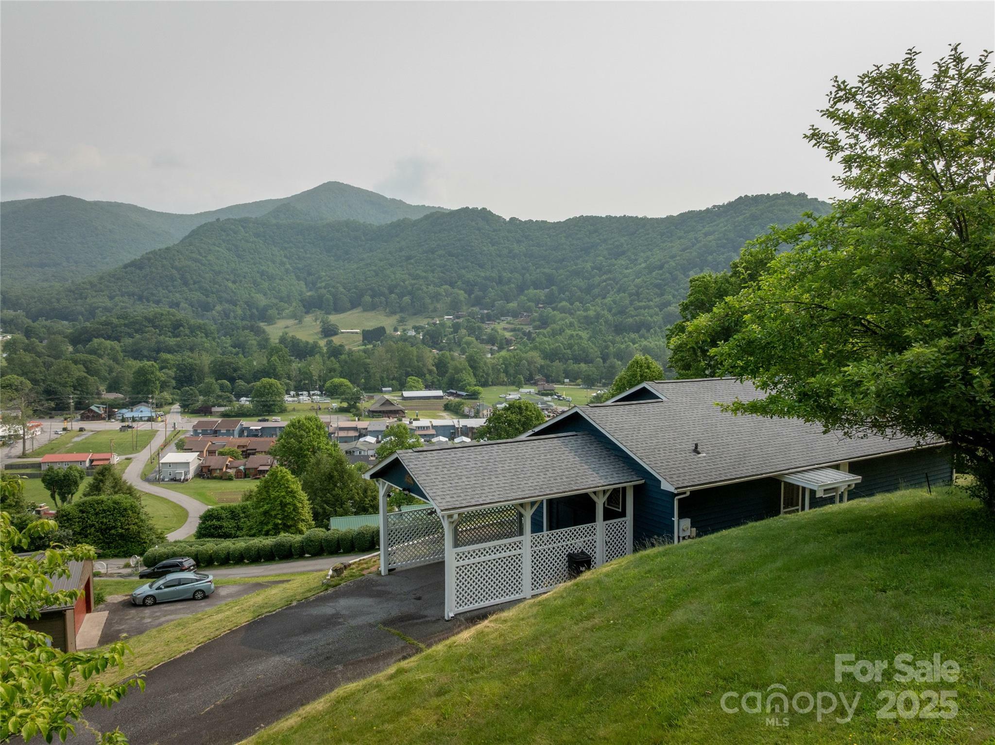 Property Photo: 262 Lewis Lane NC 28751