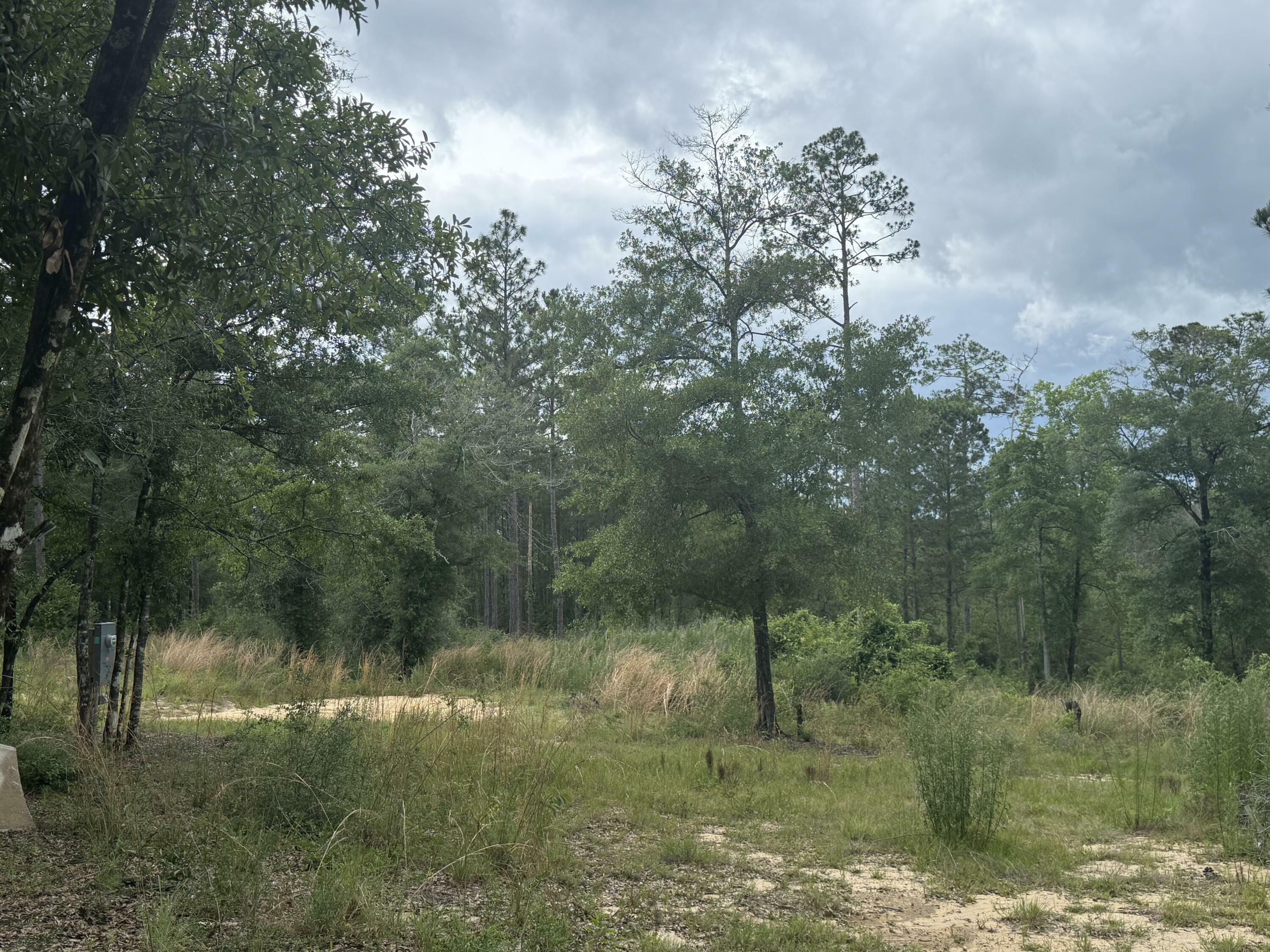 1300 Crowder Chapel Road  Crestview FL 32539 photo