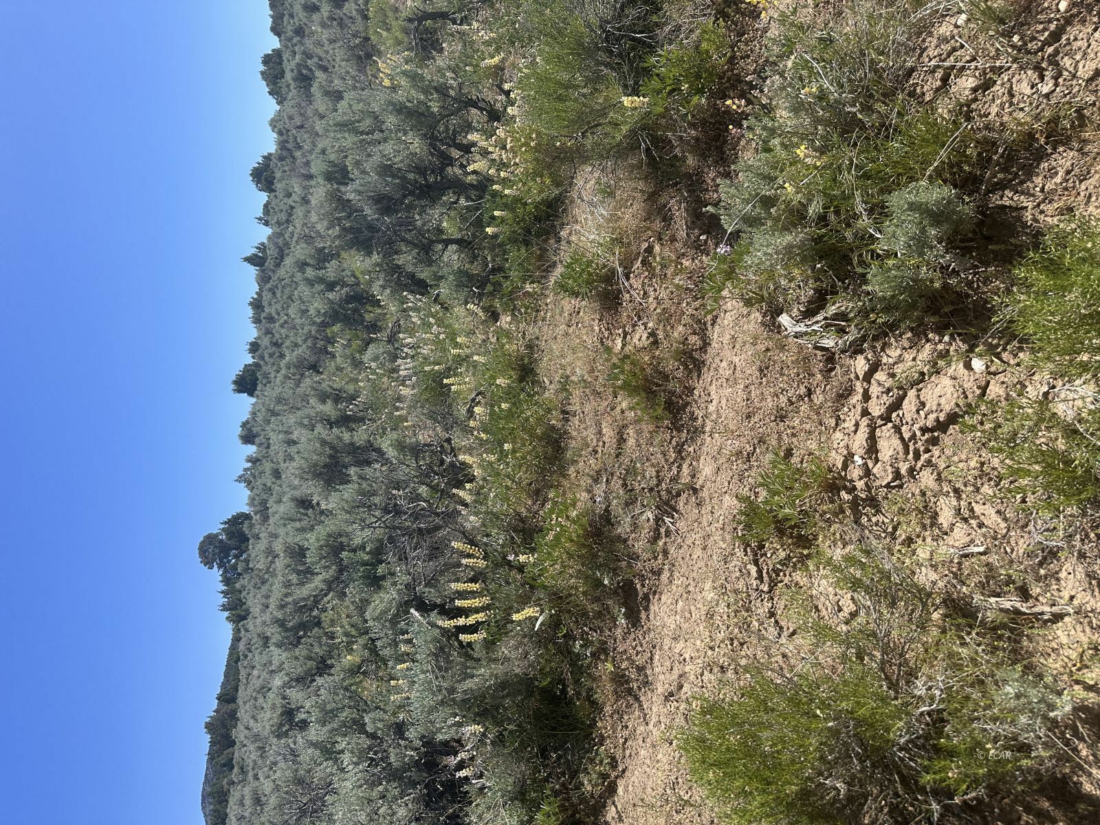 Property Photo: 010-59E-052 NV 89830