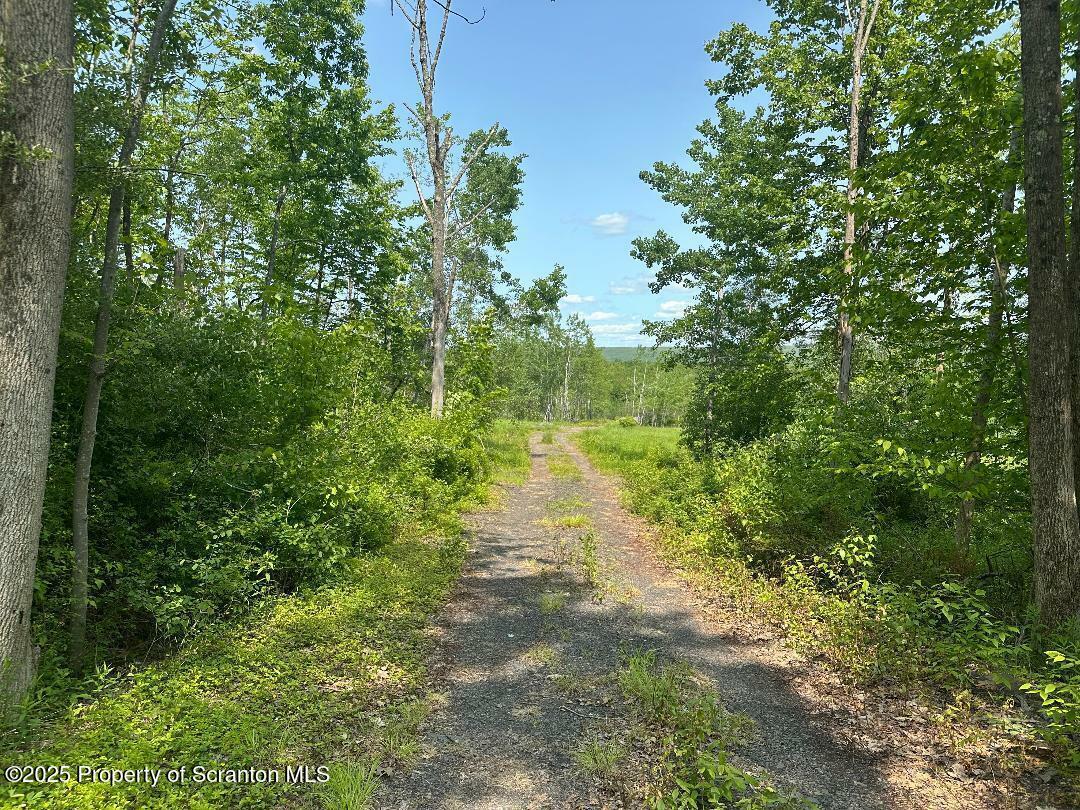 Property Photo: Dundaff St SR 1007 PA 18407