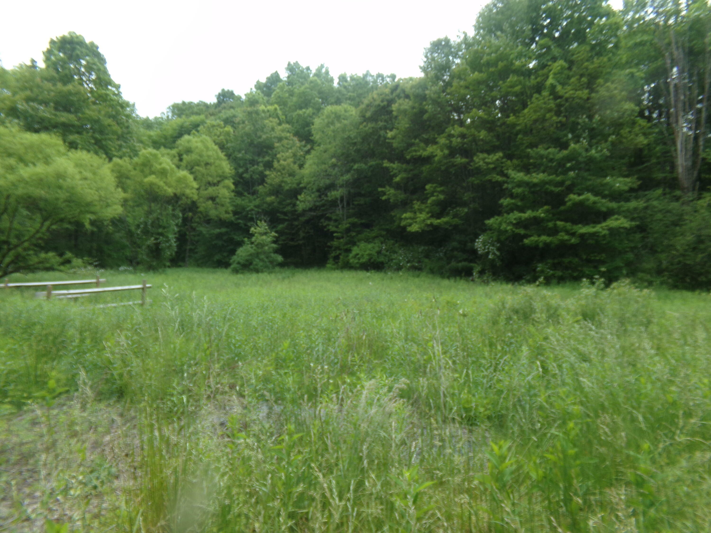 Morris Branch Road  Meadow Bridge WV 25976 photo