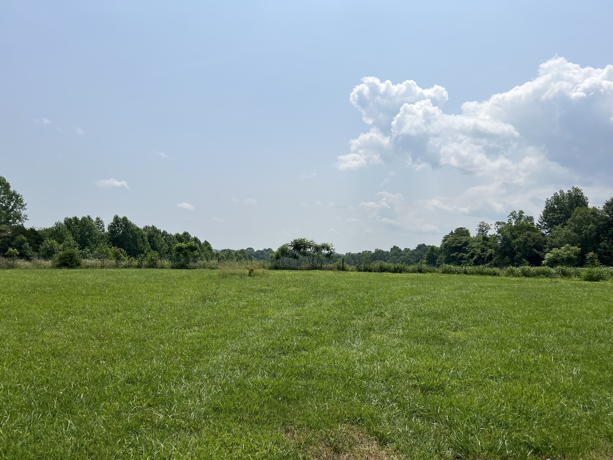 Property Photo: 5050 Oakdale Rd TN 37186