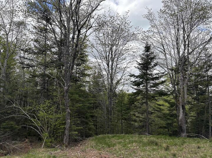 Lot 4 Highway 14 — photo 1
