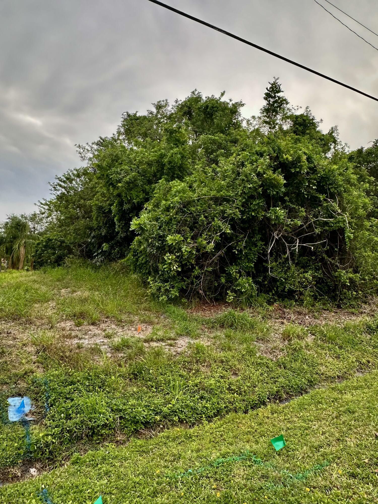Property Photo: 181 SE Whitmore Drive FL 34984