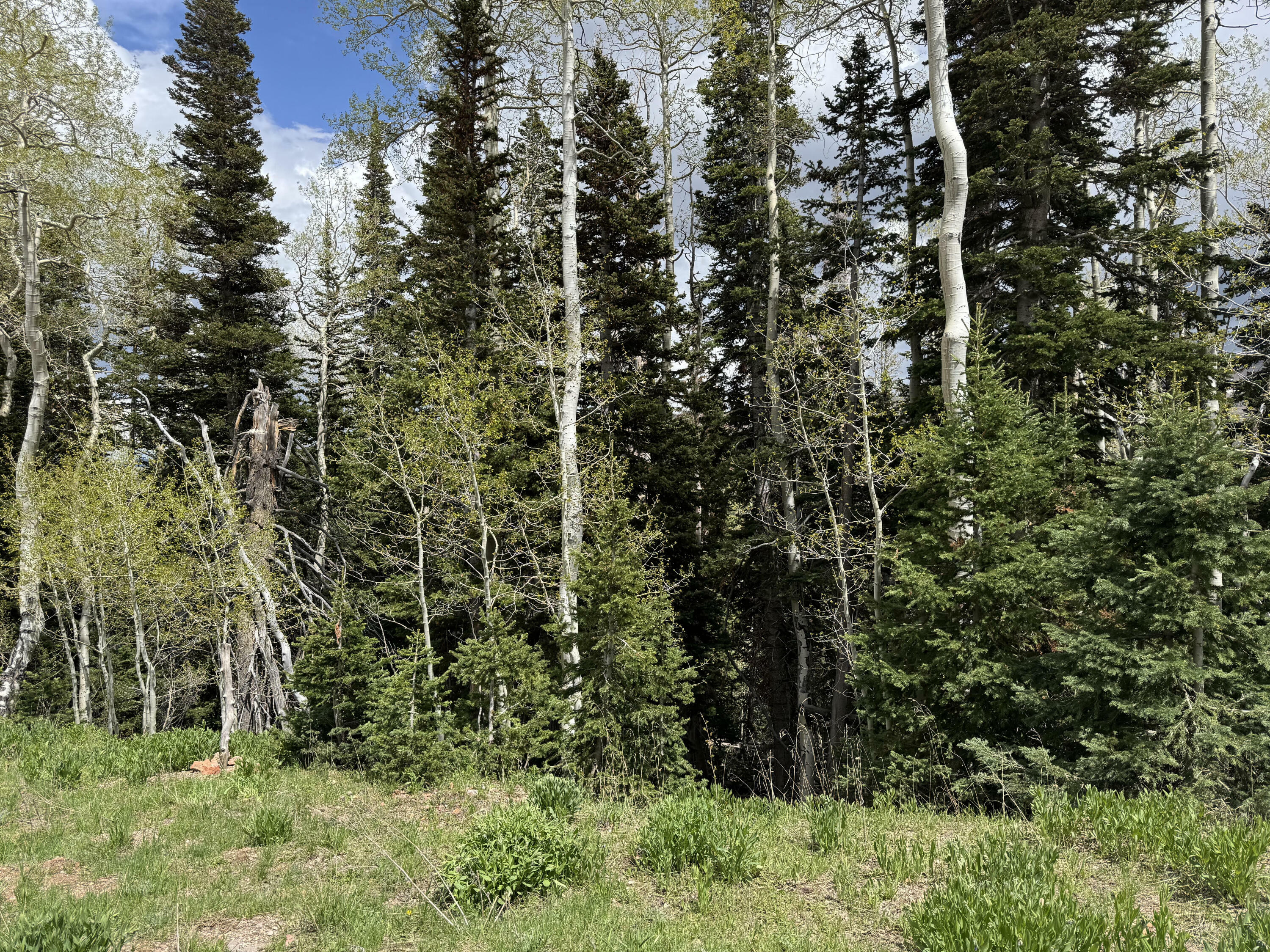 Property Photo: 695 W Hunter Ridge Rd 3 UT 84719