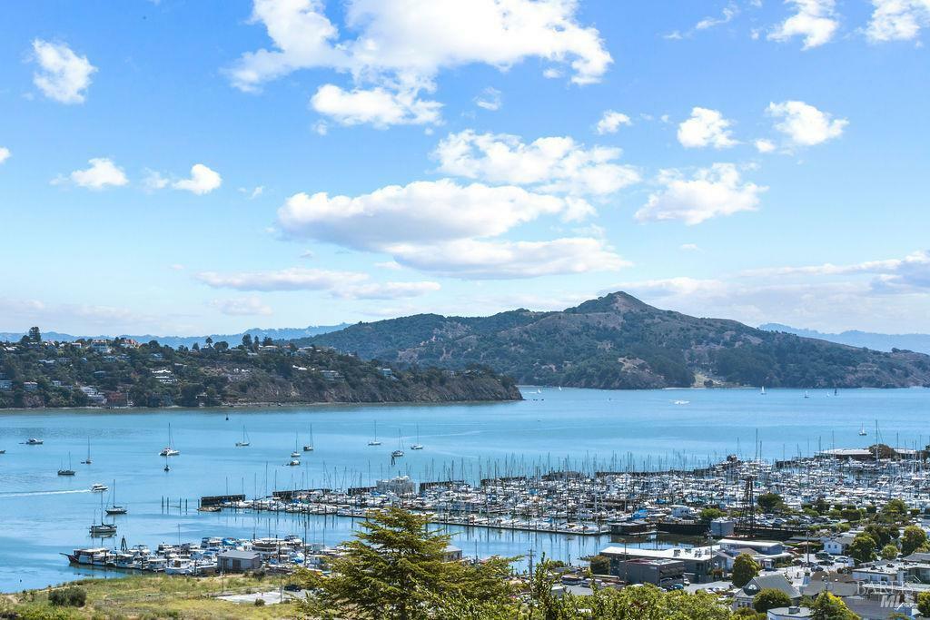 231 Cazneau Avenue  Sausalito CA 94965 photo