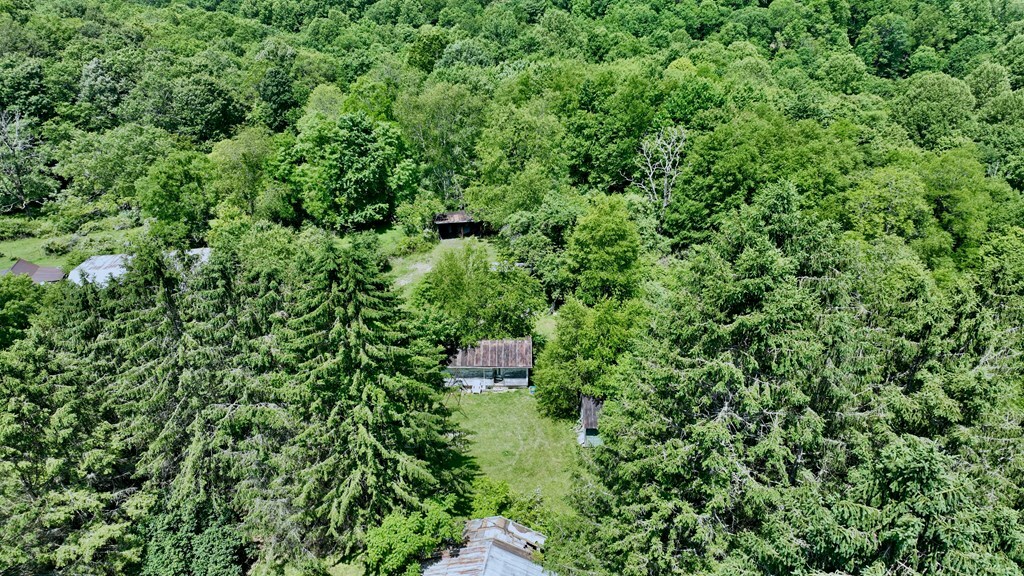 Property Photo: 230 Cloverdale Road WV 25918