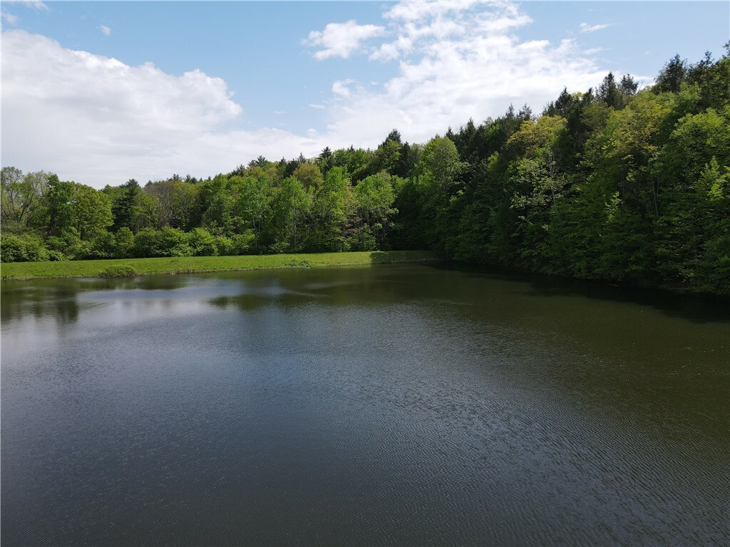 Property Photo:  Vl Lot 1 Hardscrabble Road  NY 14801 