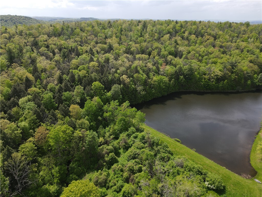 Property Photo: Vl Lot 1 Hardscrabble Road NY 14801