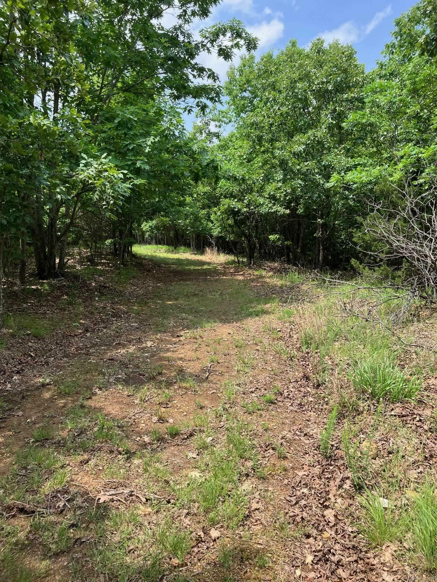 Property Photo: Tbd Tract 4 Thompson Creek Lane AR 71953