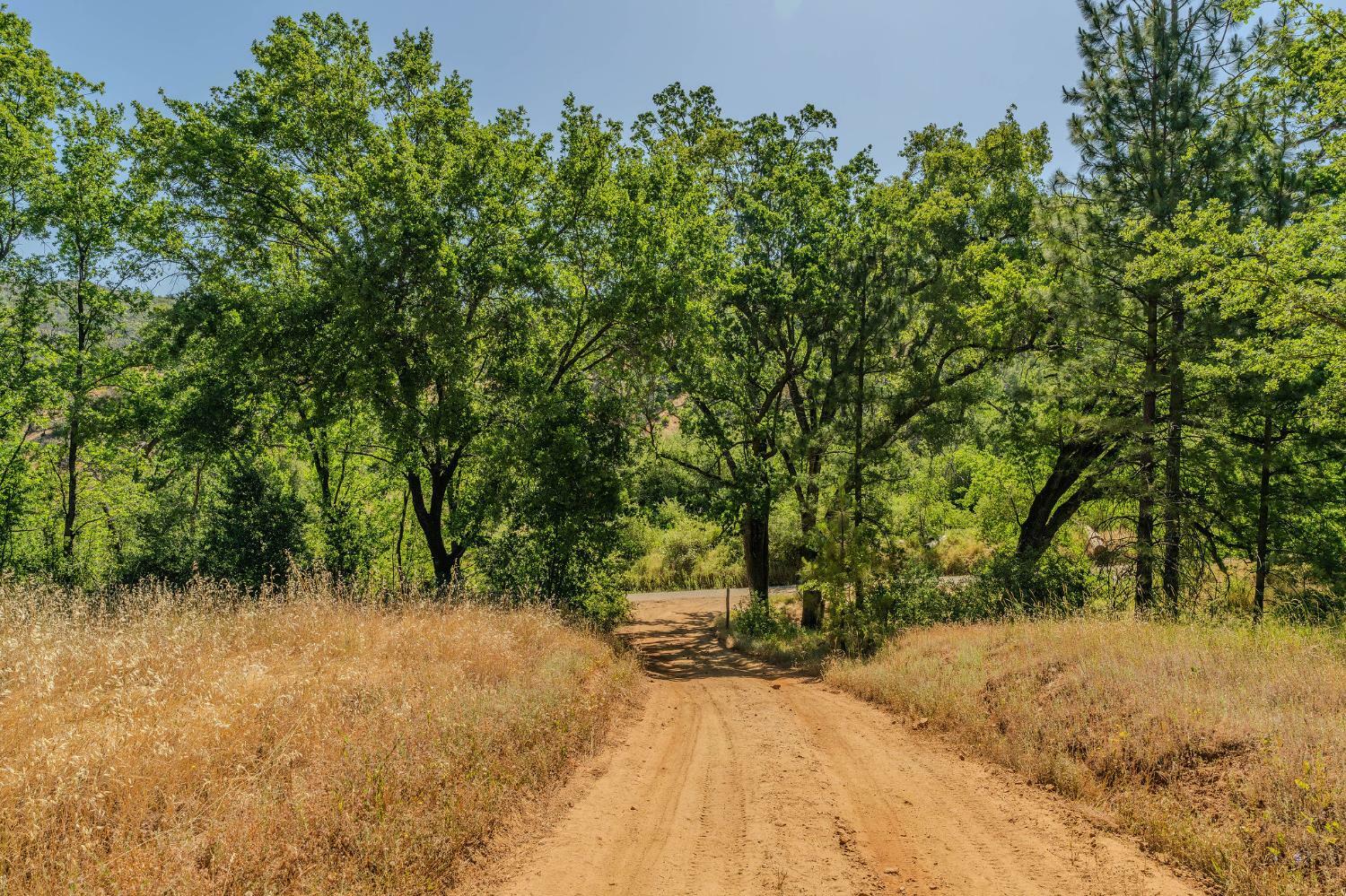 Property Photo: 0 Hawver Road CA 95245